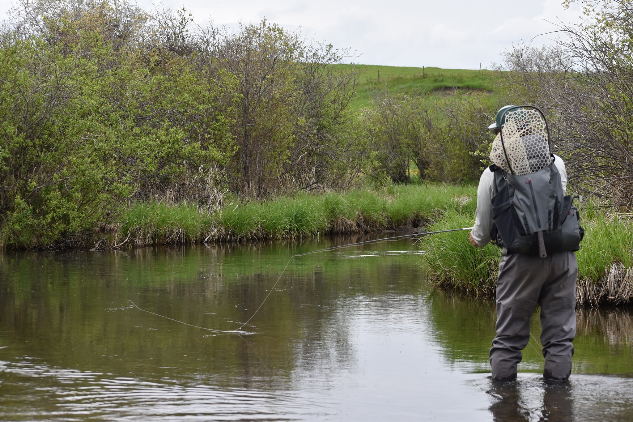 Raven Rivers Exploring the Rivers Near Raven River Hideaway - Hook And Hackle Club ...